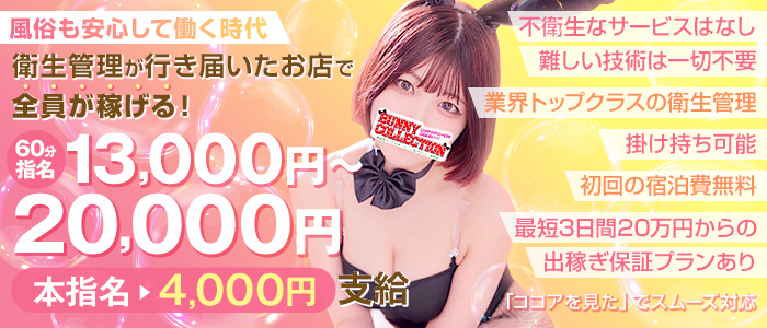  バニーコレクション秋田