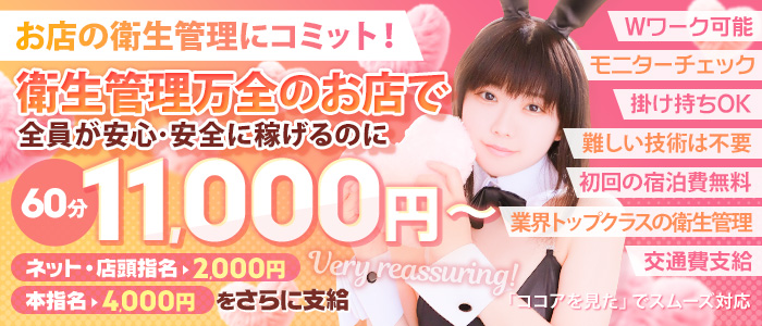 バニーコレクション新潟店