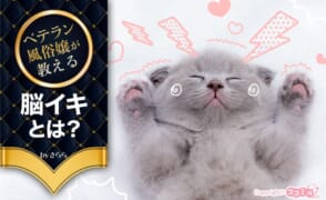 脳イキとは？正しいやり方や成功させるコツ・注意点を現役風俗嬢が解説！