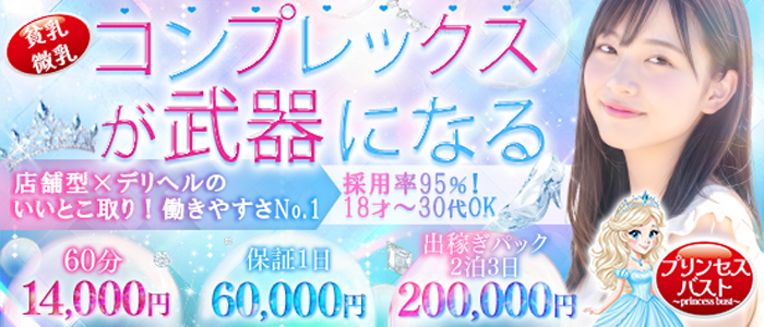 貧乳・微乳専門店プリンセスバスト