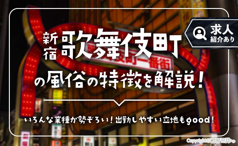 新宿・歌舞伎町の風俗の特徴を解説！あらゆる業種の風俗求人が揃う街