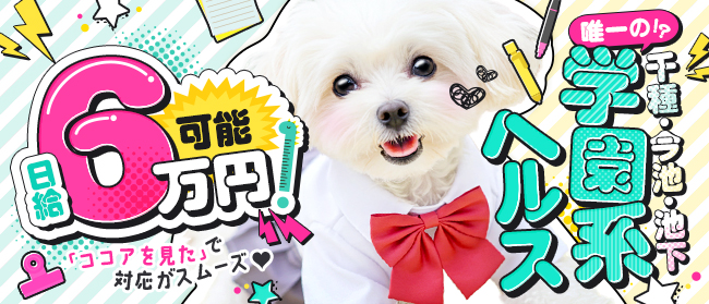 めちゃすく！！今池校