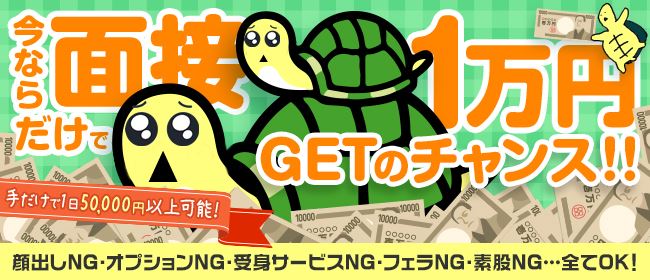 もしもし亀よ亀さんよ 名古屋店