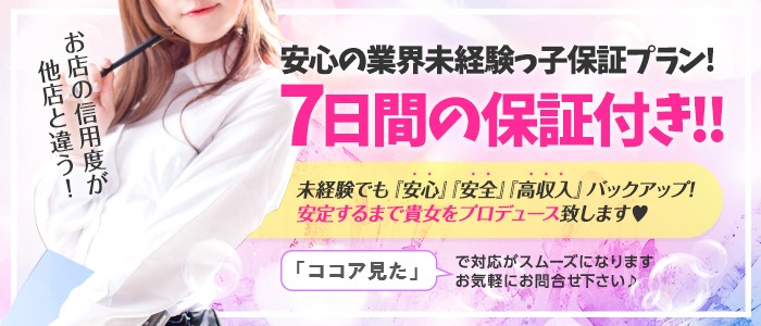 OL精薬