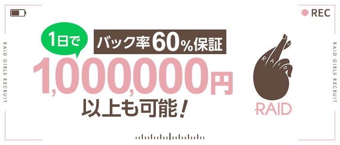 RAID(レイド)