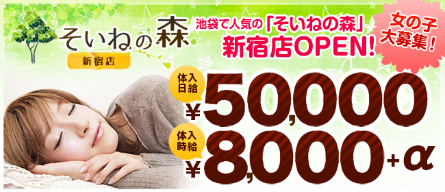 そいねの森 新宿店