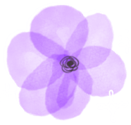 水彩画調の丸めのお花