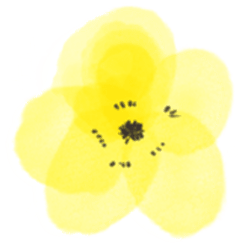 水彩画調の丸めのお花のスタンプ（イエロー）