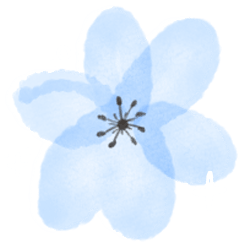 水彩画調のお花のスタンプ（ブルー）