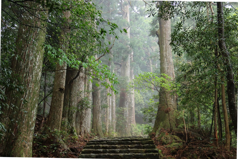 和歌山県ってどんな街?|ジョシミル